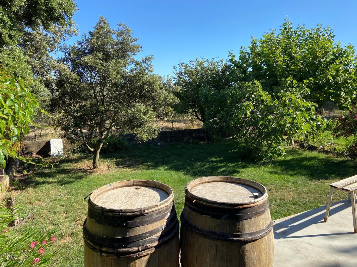 Gite A La Ferme Clansayes Екстериор снимка
